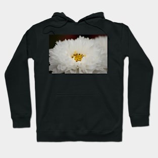 White cosmo Hoodie